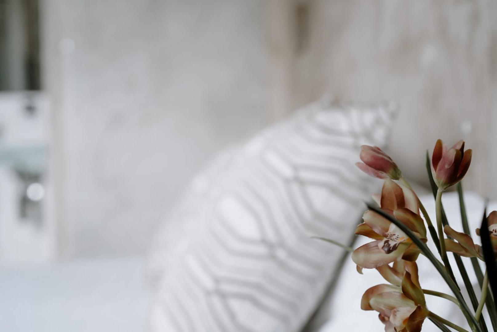 Ideal Sejour Cannes - Stylish Boutique Hotel With Quiet Garden Eksteriør billede